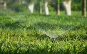 sprinkler system working in a lawn